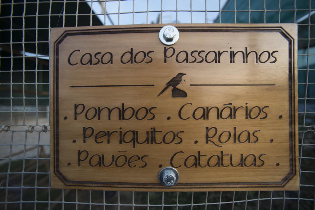 Vila Gale Alentejo Vineyard - Clube De Campo Albernoa Kültér fotó
