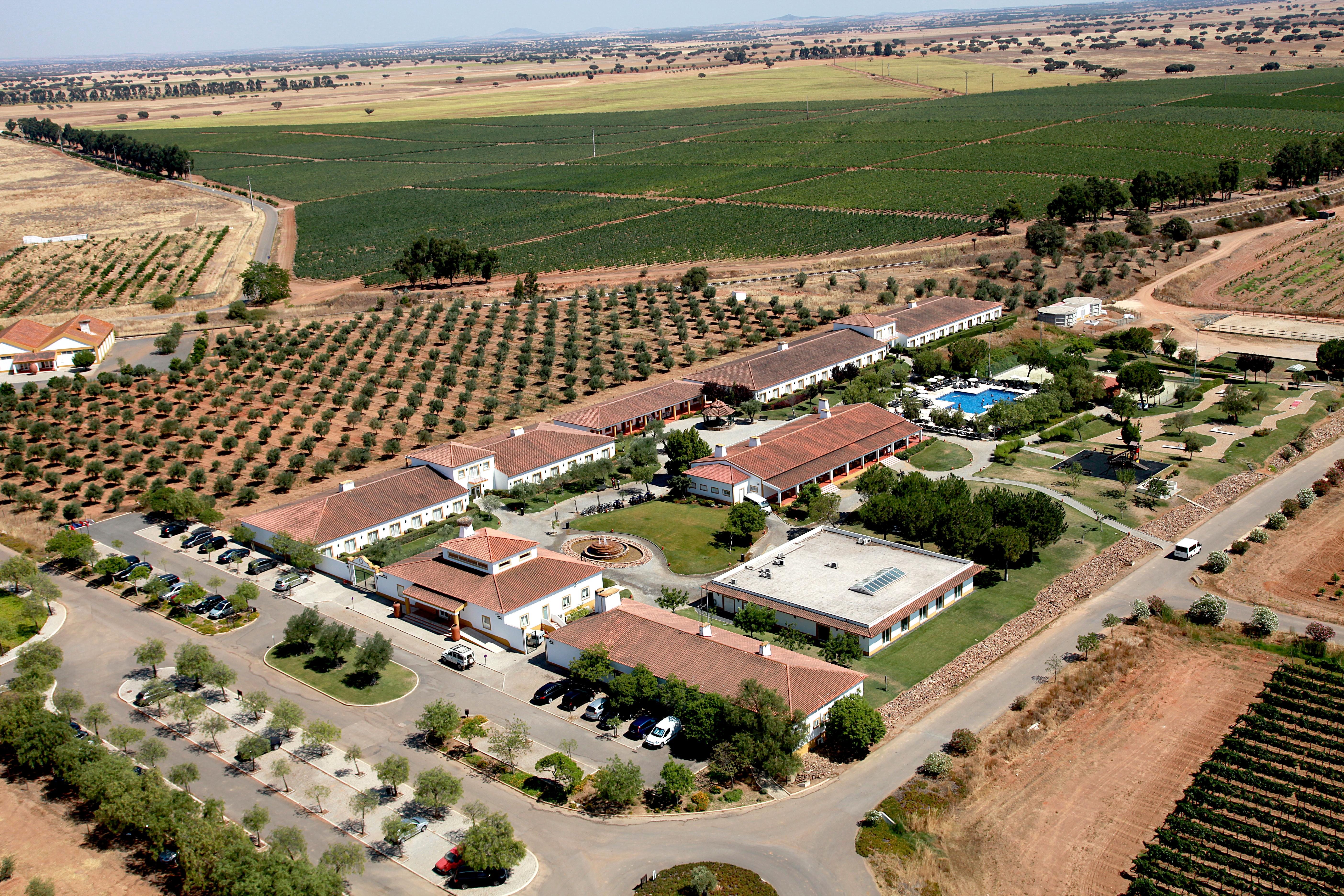 Vila Gale Alentejo Vineyard - Clube De Campo Hotel Albernoa Kültér fotó