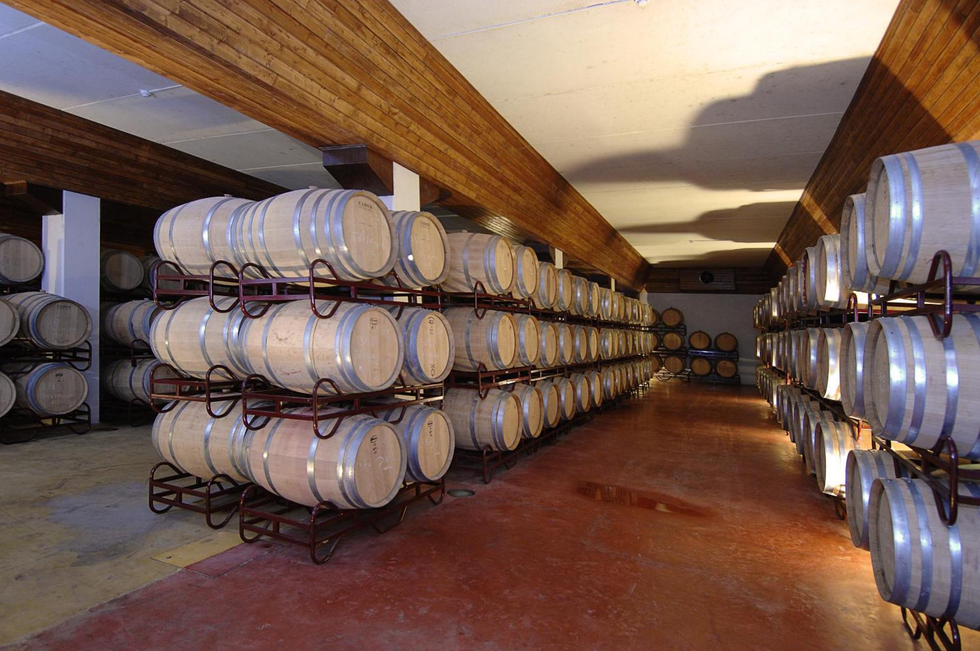Vila Gale Alentejo Vineyard - Clube De Campo Albernoa Kültér fotó