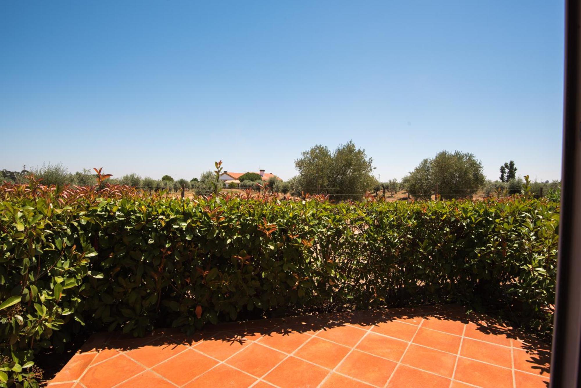 Vila Gale Alentejo Vineyard - Clube De Campo Albernoa Kültér fotó