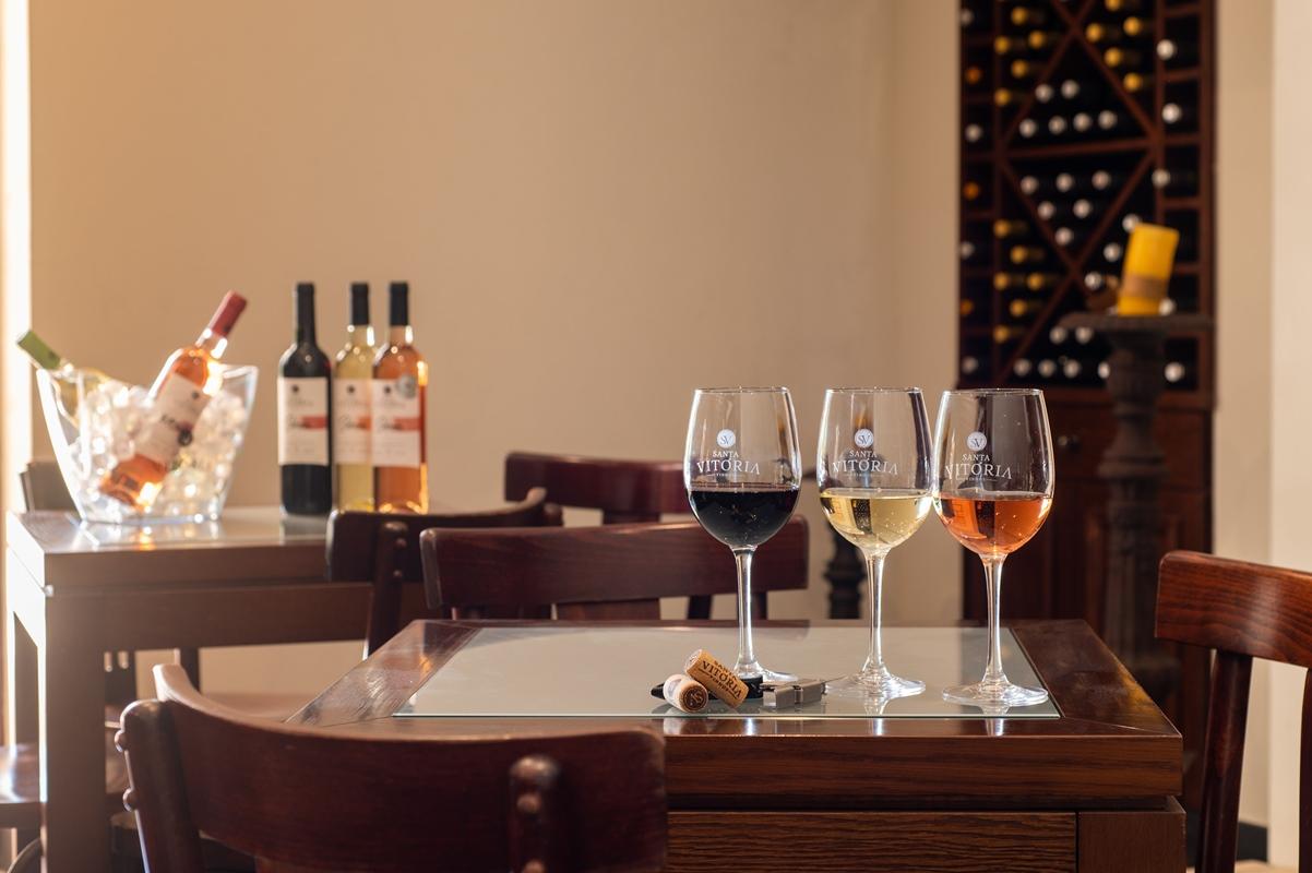 Vila Gale Alentejo Vineyard - Clube De Campo Albernoa Kültér fotó