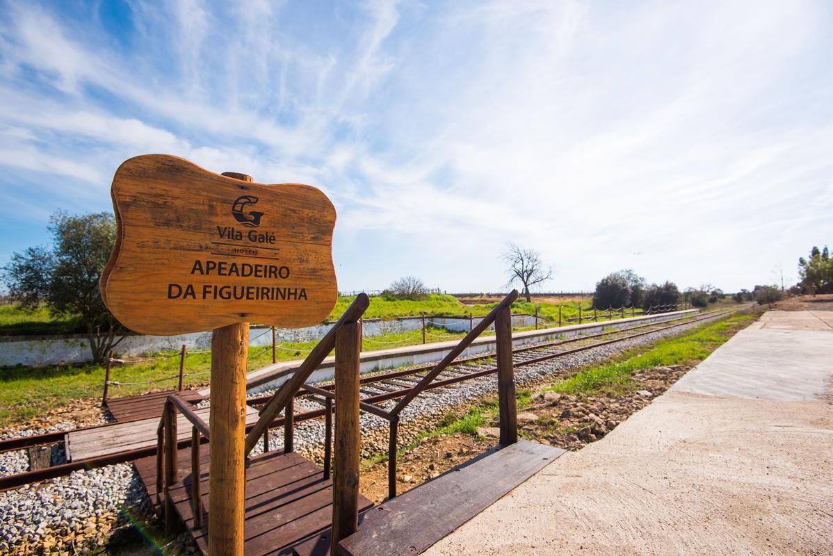 Vila Gale Alentejo Vineyard - Clube De Campo Hotel Albernoa Kültér fotó