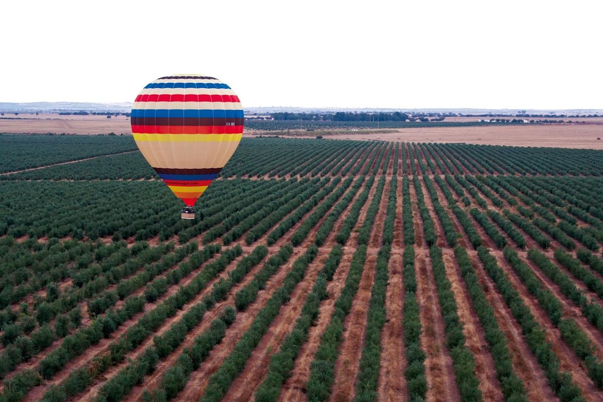 Vila Gale Alentejo Vineyard - Clube De Campo Hotel Albernoa Kültér fotó