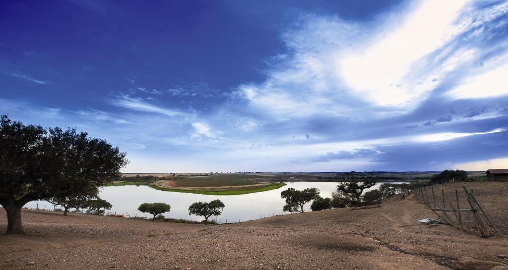 Vila Gale Alentejo Vineyard - Clube De Campo Hotel Albernoa Kültér fotó