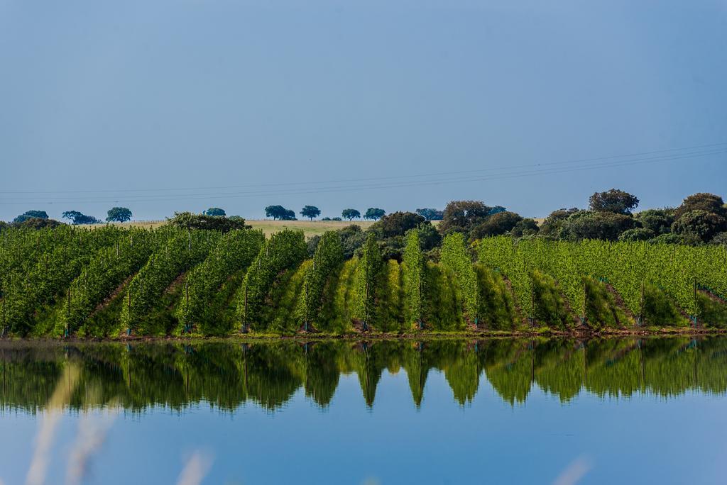 Vila Gale Alentejo Vineyard - Clube De Campo Albernoa Kültér fotó