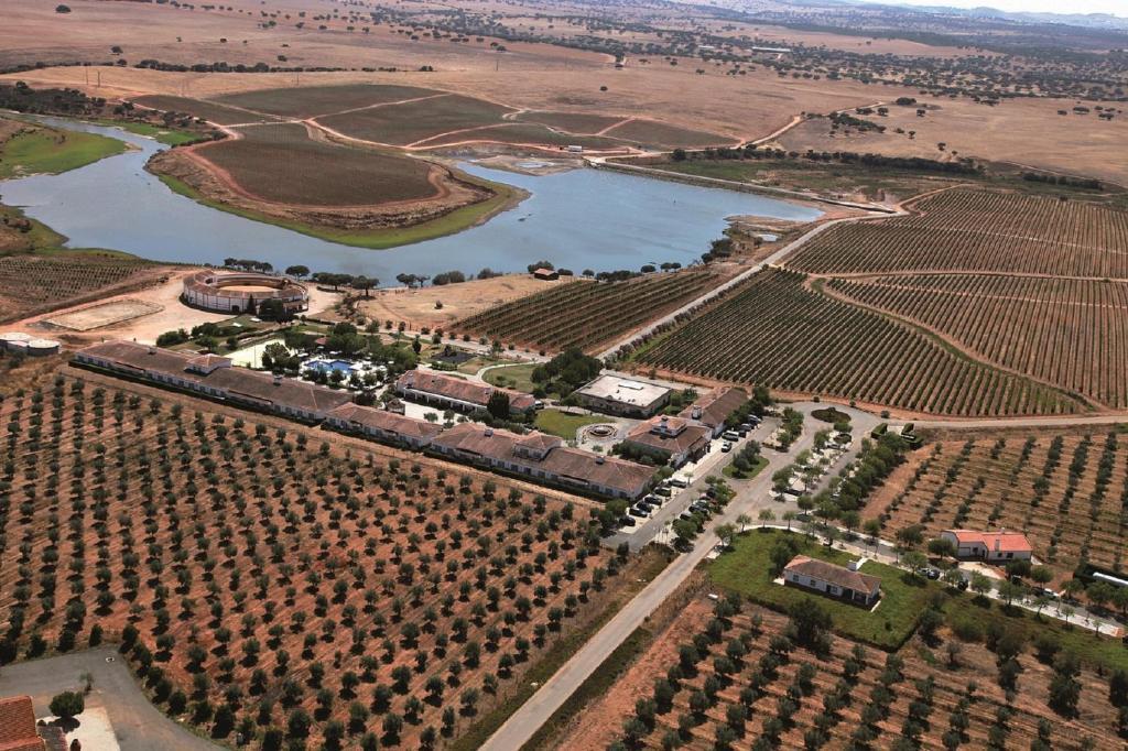 Vila Gale Alentejo Vineyard - Clube De Campo Hotel Albernoa Kültér fotó